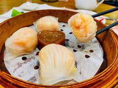 金牌虾饺皇-赏点粤式点心(广州塔店)