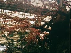 -世外桃源农庄·德清土菜(兴康南路店)
