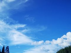 -武陵山森林公园