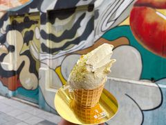 -野人先生现做冰淇淋(北京顺义祥云小镇店)