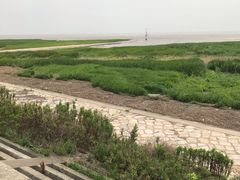 -南汇嘴观海公园