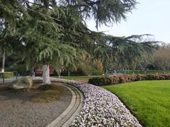 -荆川公园