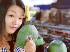 -红旗山庄(圭峰山店)