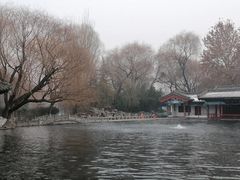 -百脉泉景区