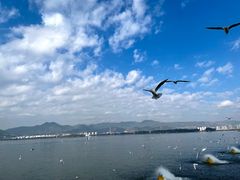 -海埂大坝