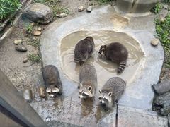 -海合安成都极地海洋公园
