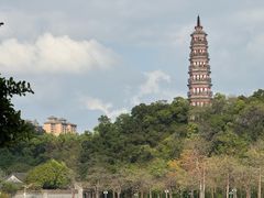 -顺峰山公园