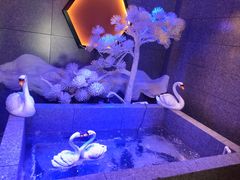 -营信刘罗锅铁锅炖(建华店)
