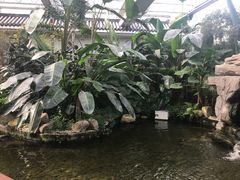 -汤山翠谷生态餐厅