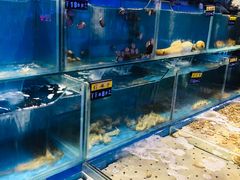 水产区-鼎道味尊总汇演绎烧烤·中草药烧烤