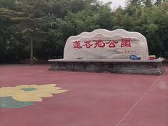 -莲花池公园