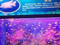 -大明湖海底世界