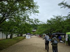 -醍醐寺