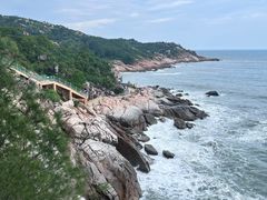 -广东惠东海龟国家级自然保护区