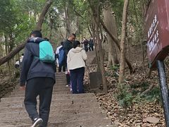 -紫金山山顶公园