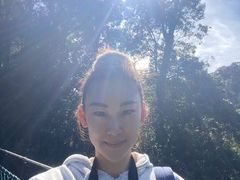 -云南屏边大围山国家公园
