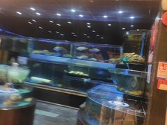 -金翠皇宫粤菜·点心·海鲜(科技园店)