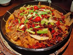 -老板恋上鱼(高新万达店)