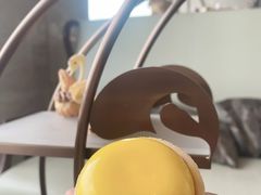 -白天鹅宾馆·月兔吧