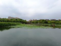 -前关湿地公园