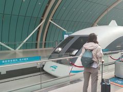 -龙阳路磁悬浮列车总站-停车场