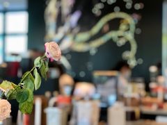 -星巴克臻选(深圳龙岗万科店)