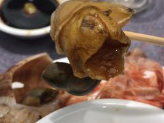-新锦鸿(演达店)