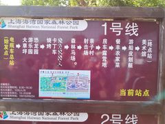 -上海海湾国家森林公园