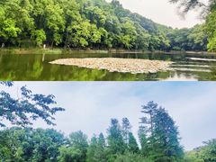 -WeLope紫金山探险公园