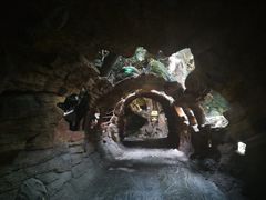 -多彩贵州城极地海洋世界