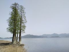 -四明湖