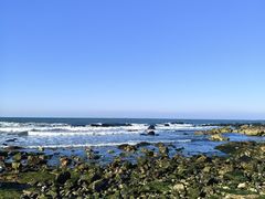 -养马岛旅游度假区