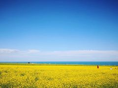 -青海湖国家重点风景名胜区