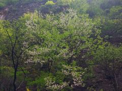 -山西通天峡景区