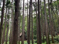 -波尔登森林公园