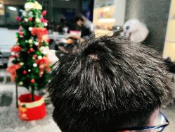 -丝语萱形象