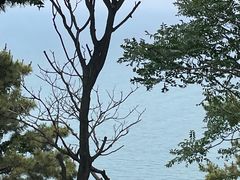 -刘公岛景区