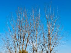 -汉长安城未央宫国家考古遗址公园