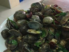-烁佳海鲜大馅饺子