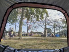 -风云岭森林公园