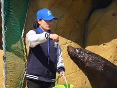 -秦皇岛乐岛海洋王国