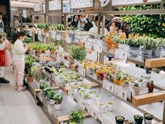 -鹿岛生活(熙地港店)