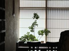 -元古雲境(太古里店)