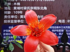 -黄埔古港