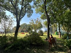 -北外滩滨江绿地