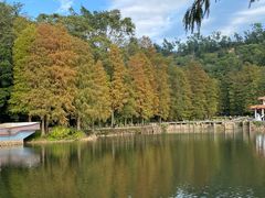 -深圳仙湖植物园