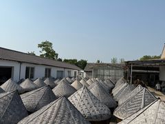 -苏州市吴中区光福窑上花果蜜饯厂