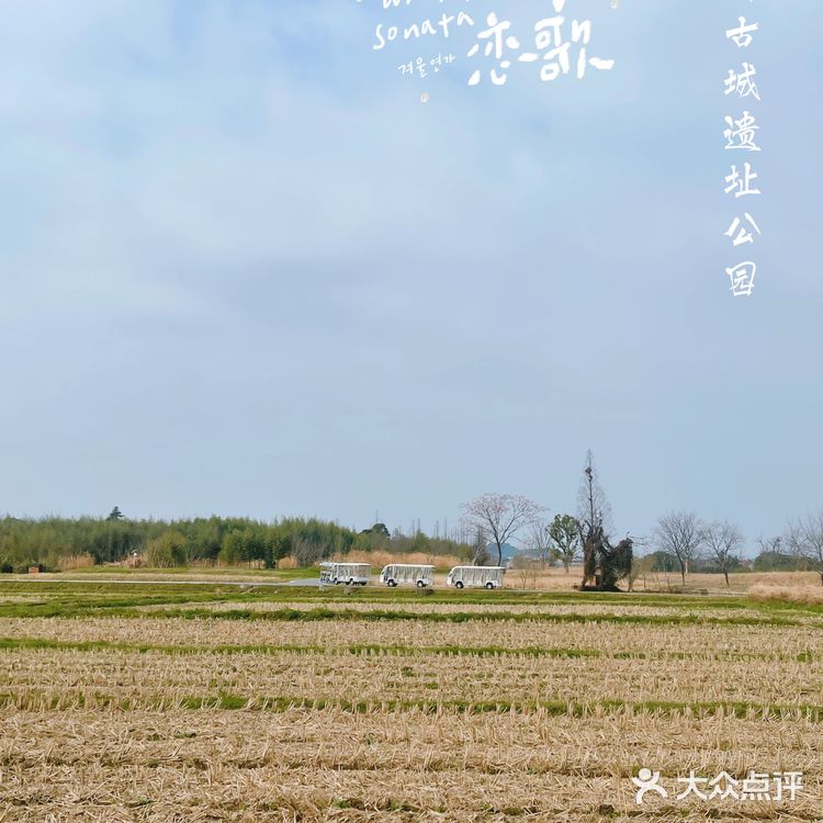 杭州小奈良 | 良渚古城遗址公园