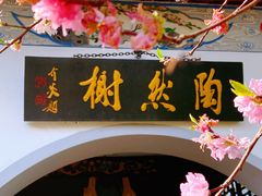 -南汇桃花村