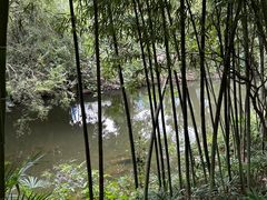 -狼山风景名胜区